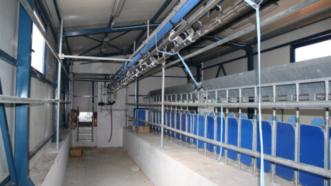 corridor in a sheepfold
