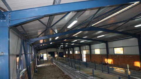 interior area of the sheepfold