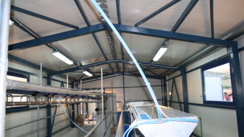 lighting and automatic feeding